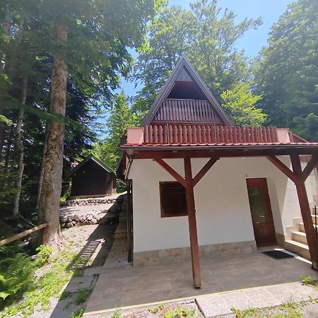Vila Koca Planika, Sviscaki Ilirska Bistrica Exteriér fotografie