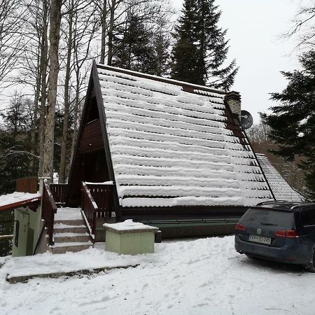 Vila Koca Planika, Sviscaki Ilirska Bistrica Exteriér fotografie