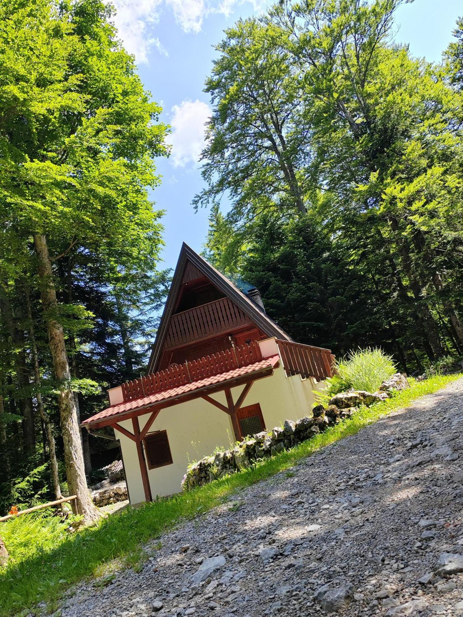 Vila Koca Planika, Sviscaki Ilirska Bistrica Exteriér fotografie